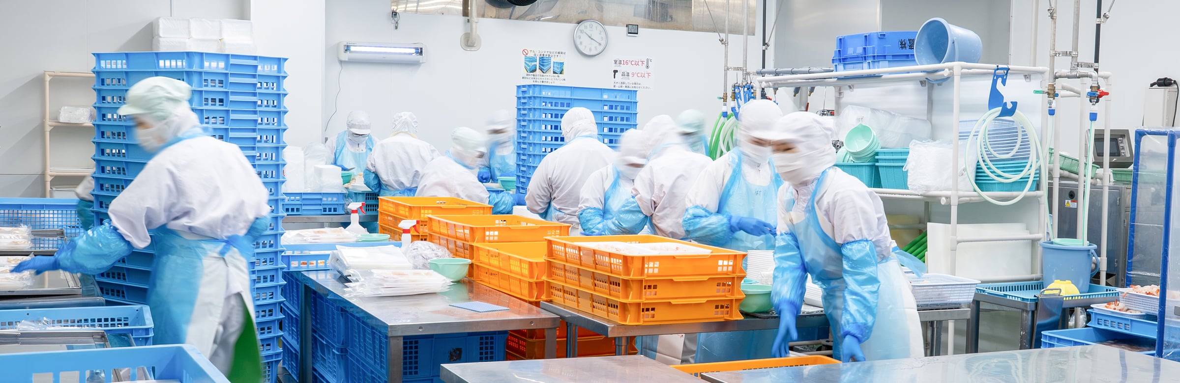 オレンジ色のコンテナを囲んで水産品を加工している工場の様子