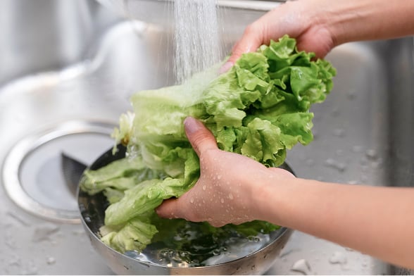 ホースから流れるピュアスター生成水で野菜を洗う様子