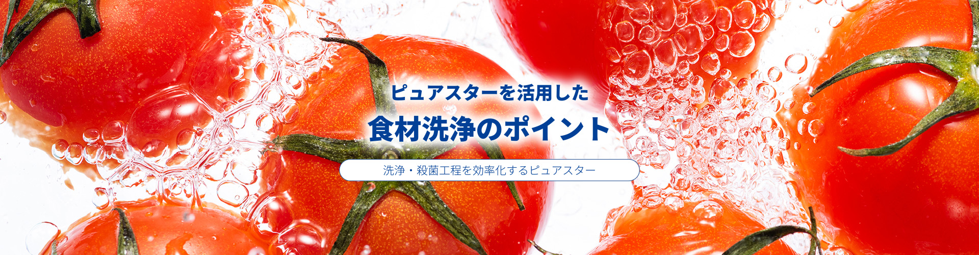 食材洗浄のポイント